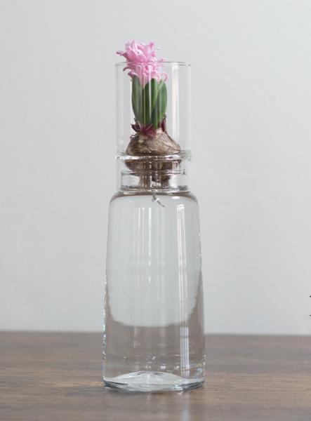 Anzuchtglas-Set 9 cm